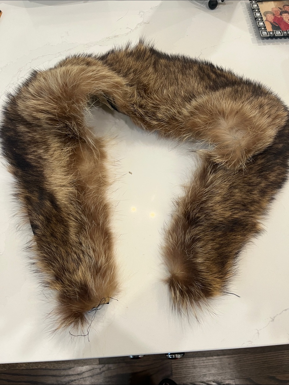 Women's  Fur Collar Wrap in Rich Brown